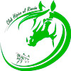 club hipico el rincon logo