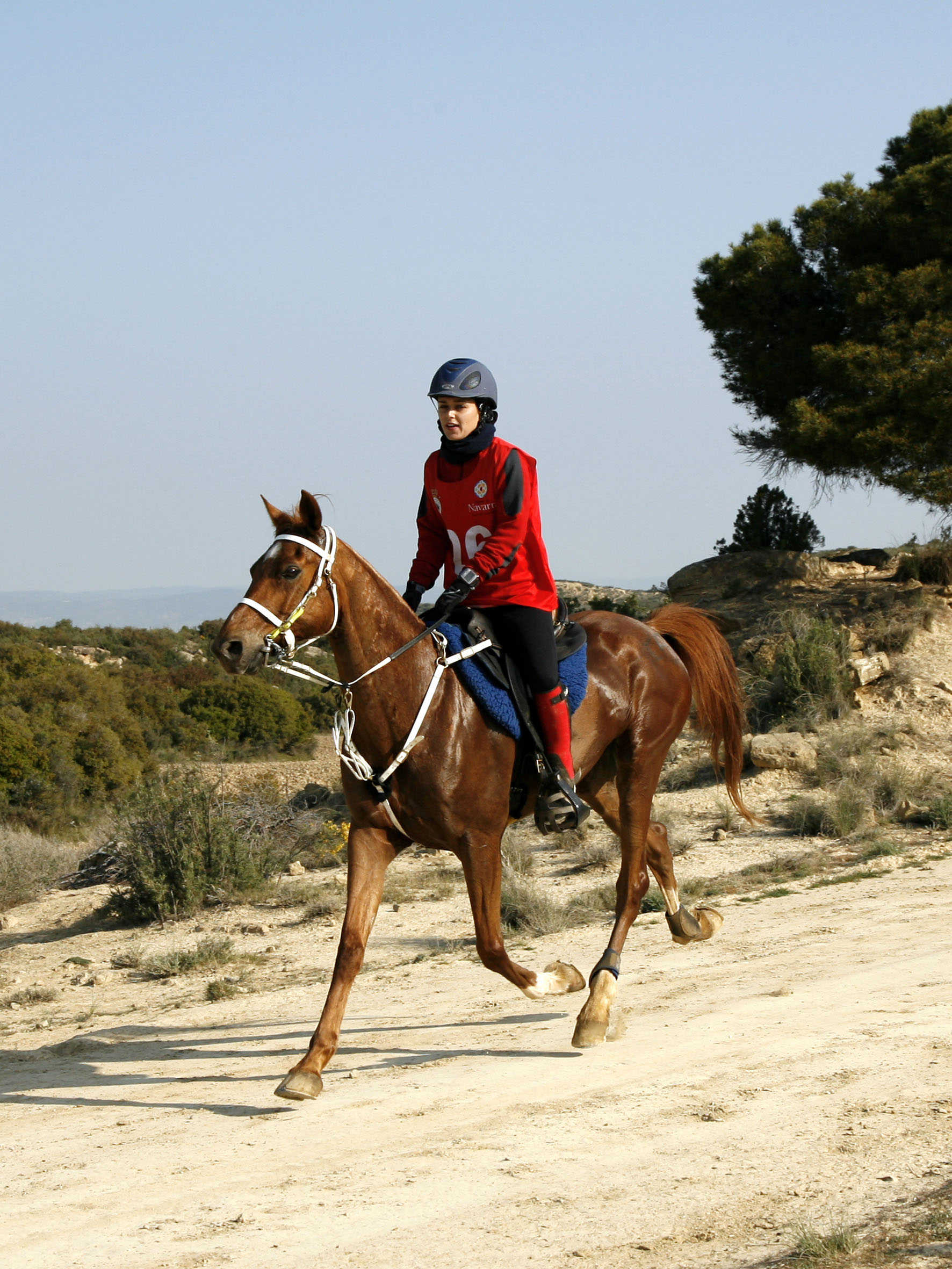 La federada Navarra Laia Muixi, con el caballo Fling Tornade, seleccionada para el Campeonato de Europa de Raid de Florac
