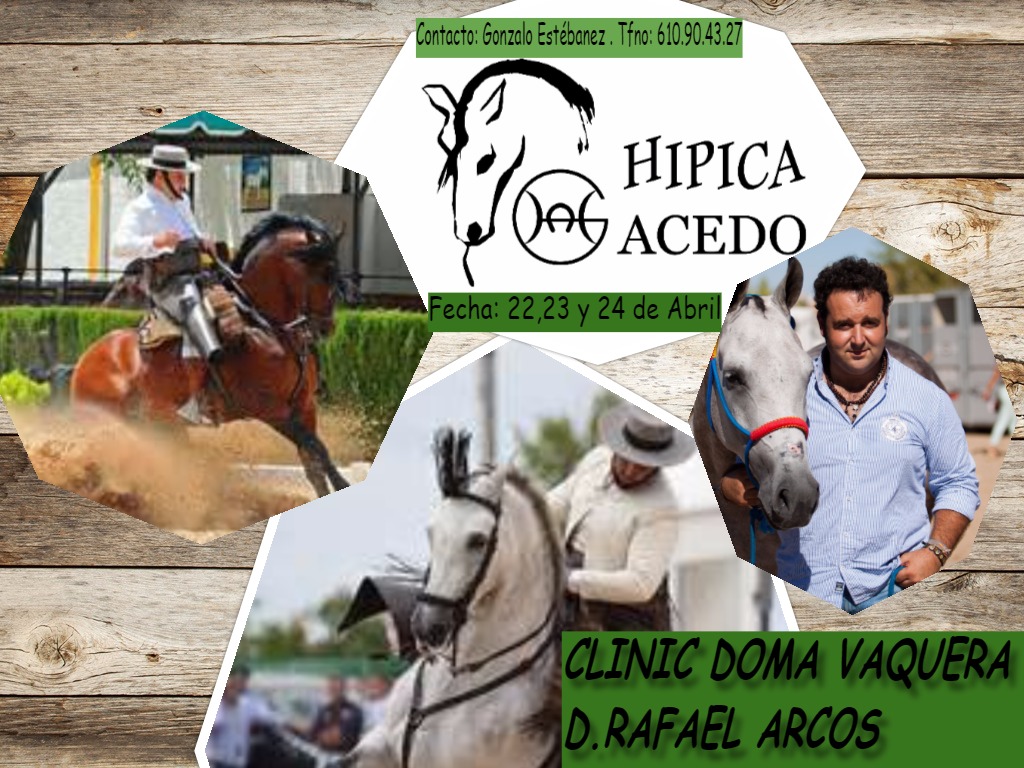 Clinic de Doma Vaquera impartido por Rafael Arcos los días 22, 23 y 24 de abril en el Club Hípico Acedo