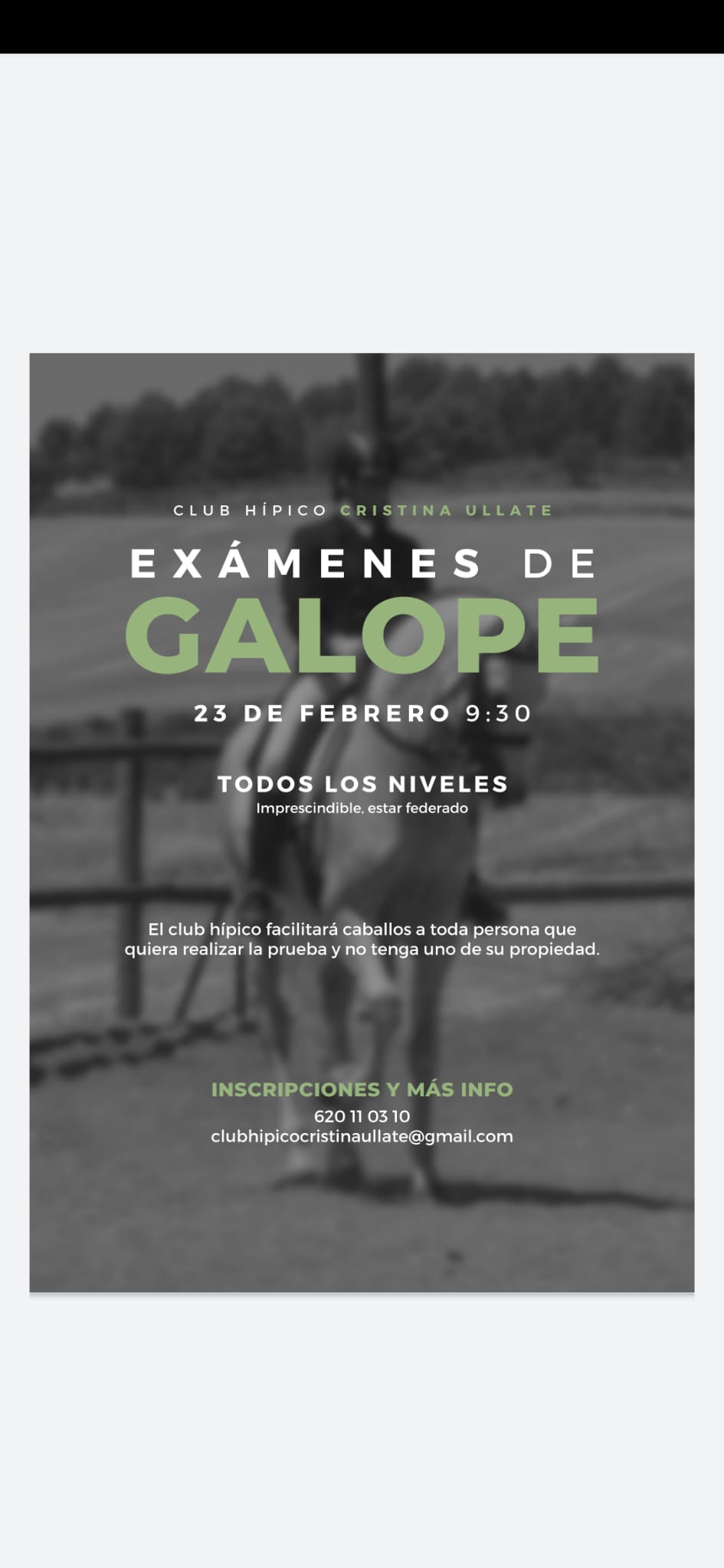 Próxima convocatoria de exámenes galopes el día 23 de febrero en el Club Hípico Cristina Ullate de Tafalla