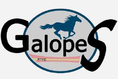 Próxima Convocatoria de exámenes de Galopes el día 19 de junio en el Club Hípico Añezcar