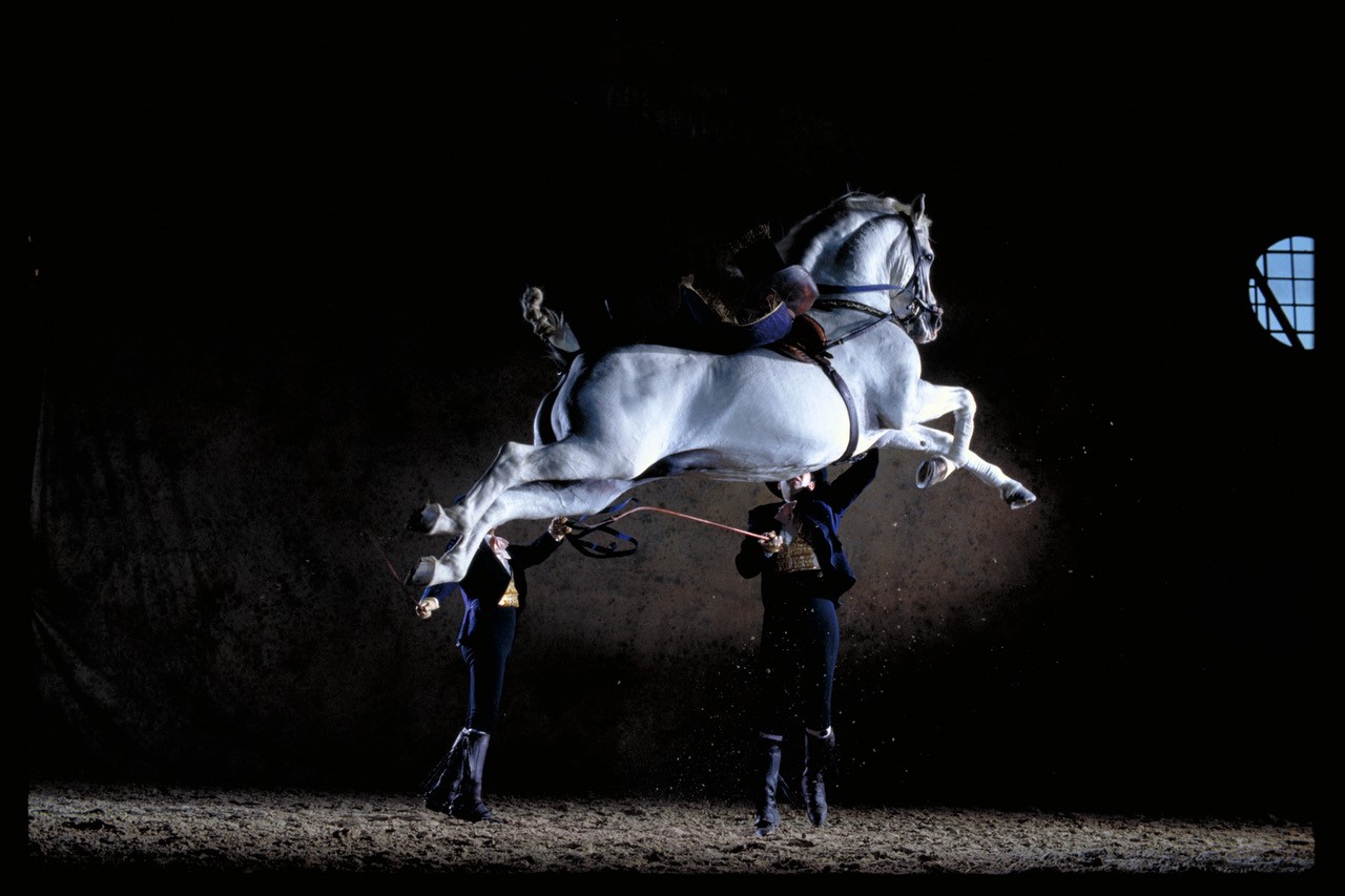 Navarra Arena acoge el espectáculo «Como Bailan los Caballos Andaluces”