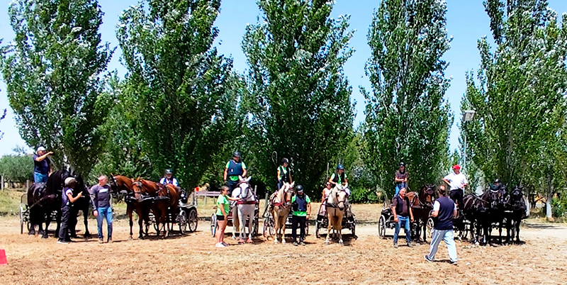 Final del Campeonato Navarro e Interautonómico de Enganches – Obstáculos