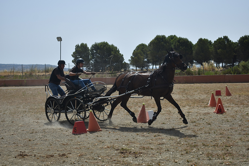 Imágenes del III Campeonato Interautonómico de Enganches