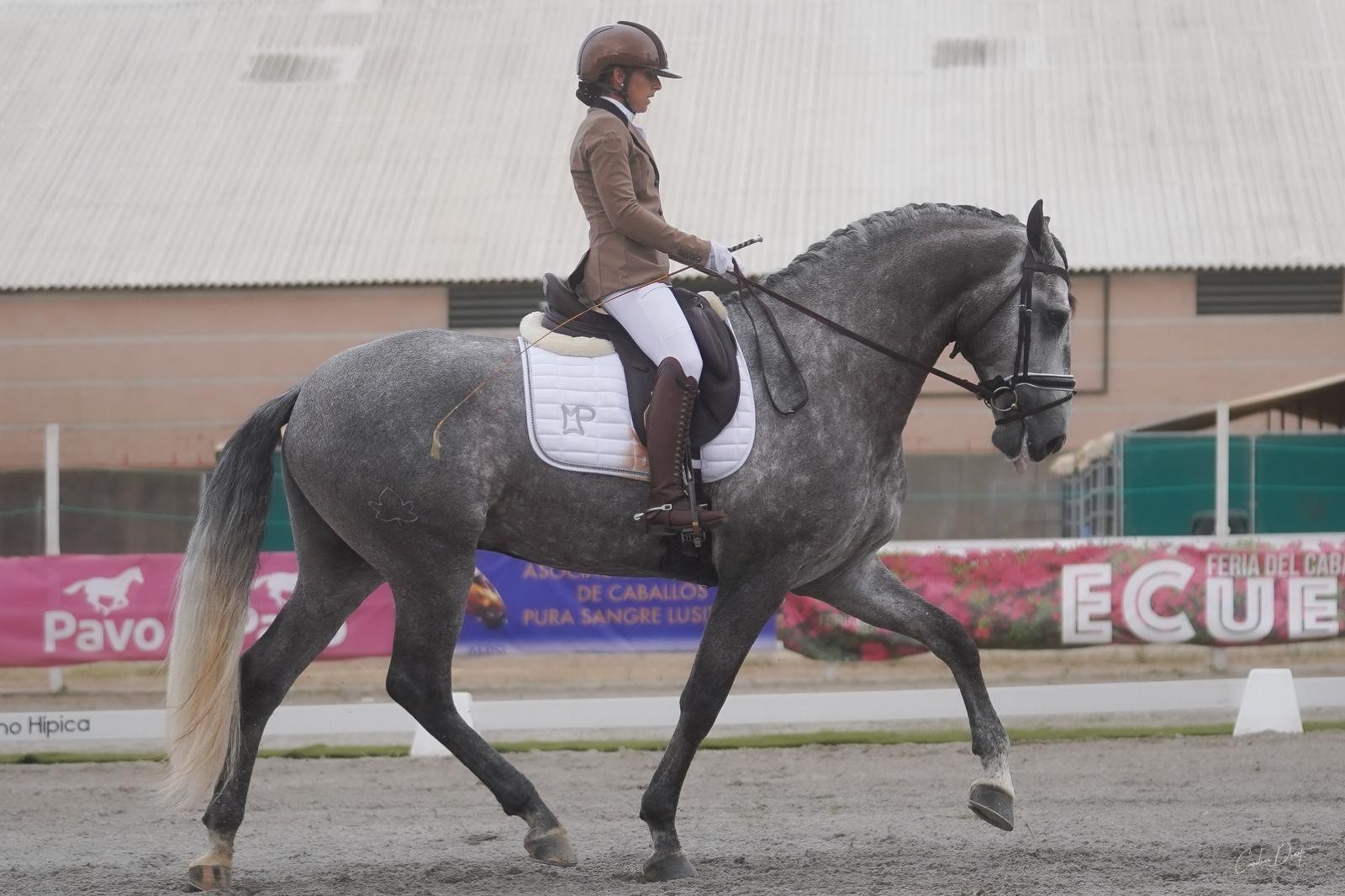 Maite Martínez Águila Subcampeona de España de Doma