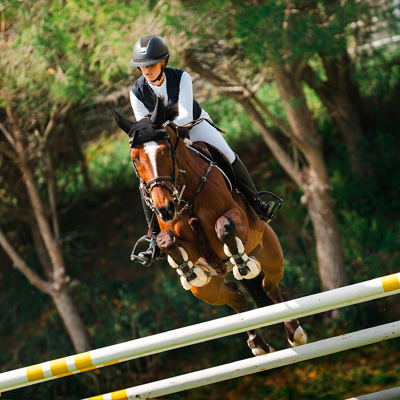 Presencia navarra en el Campeonato de España de Salto de Obstáculos de Menores