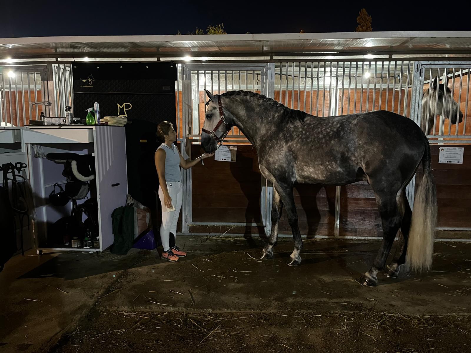 Maite Martínez: Una navarra en el podio europeo del caballo lusitano