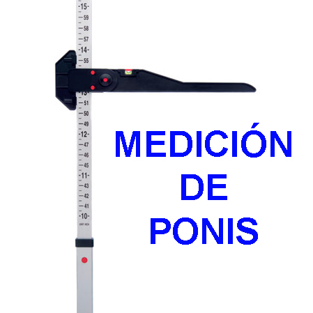 Estación de Medición de Ponis 2025 – Solicitud para interesados