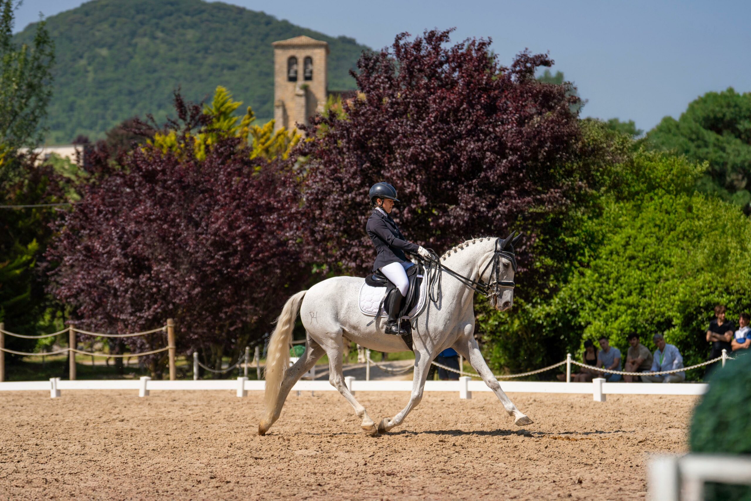 Clasificaciones Finales – Campeonato Navarro y Juegos Deportivos de Navarra 2025 (Doma Clásica)
