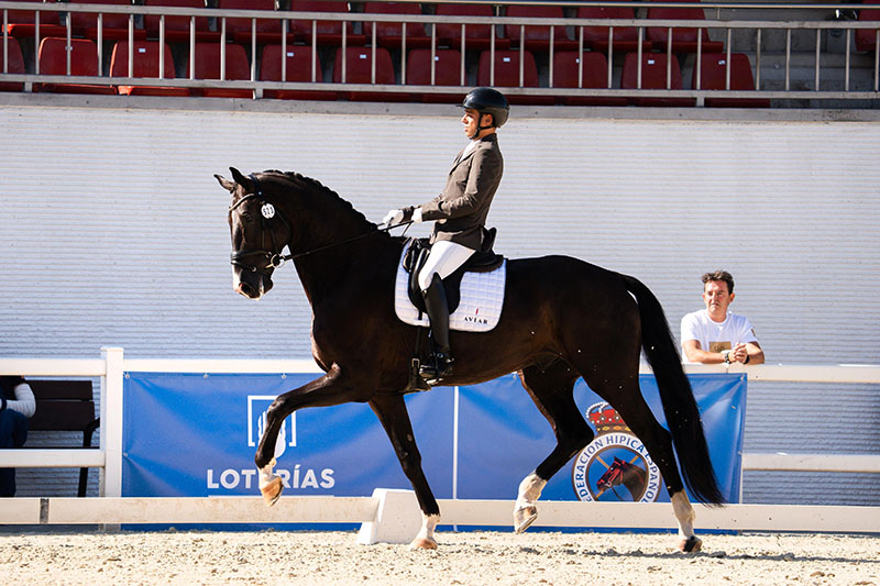 Doble representación navarra en el Campeonato de España de Caballos Jóvenes