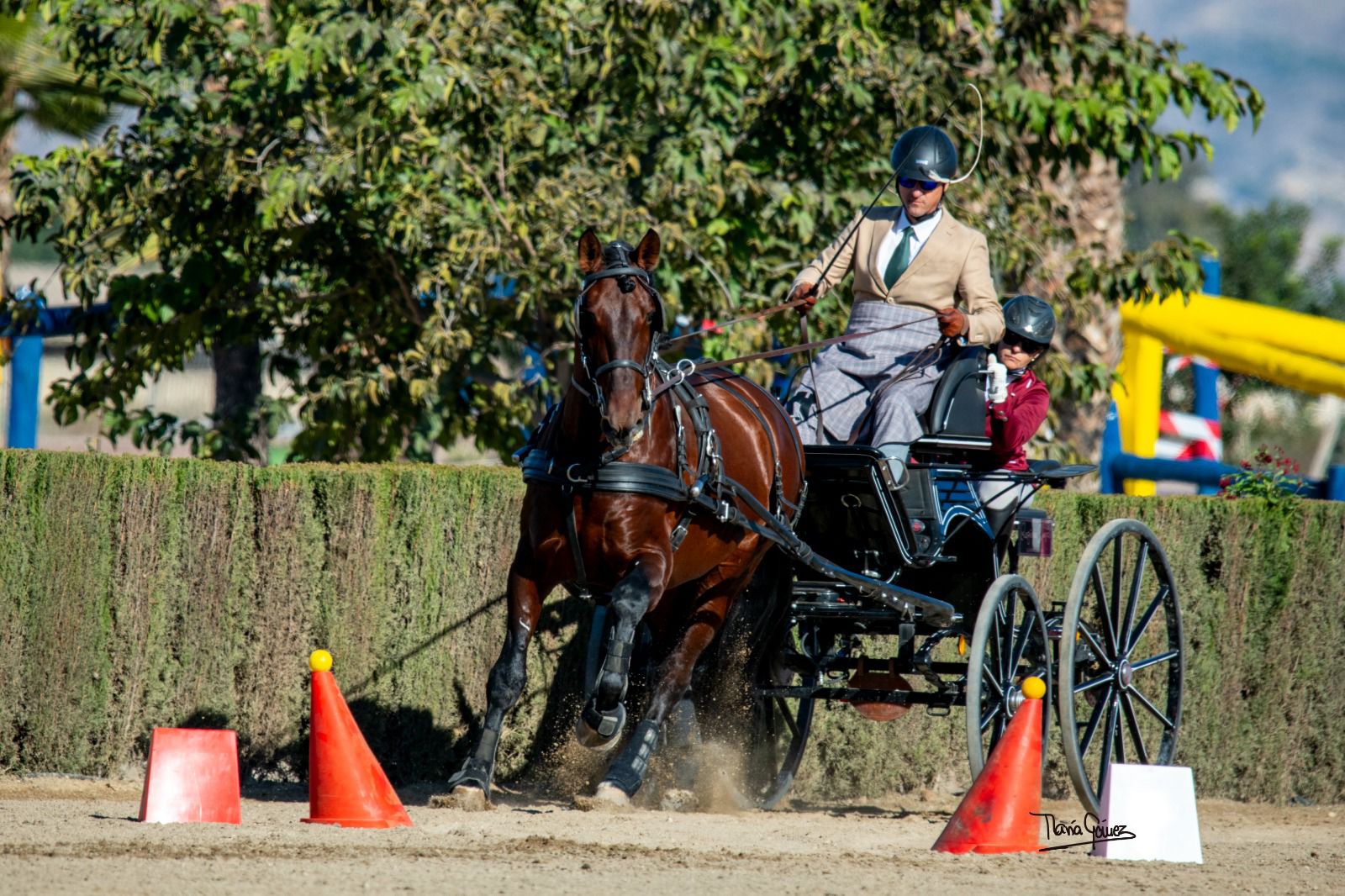 Buena actuación navarra en la XX Copa S.M. El Rey de Enganches: podio para David Iriarte Aguirre y cuarta posición para Carmen Goiburu Esnaola