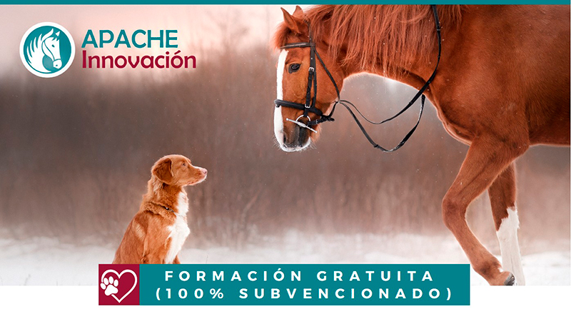 Formación Gratuita