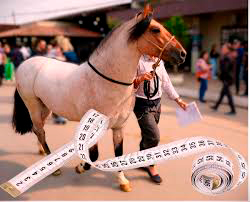 Estación Medición Ponis 2026